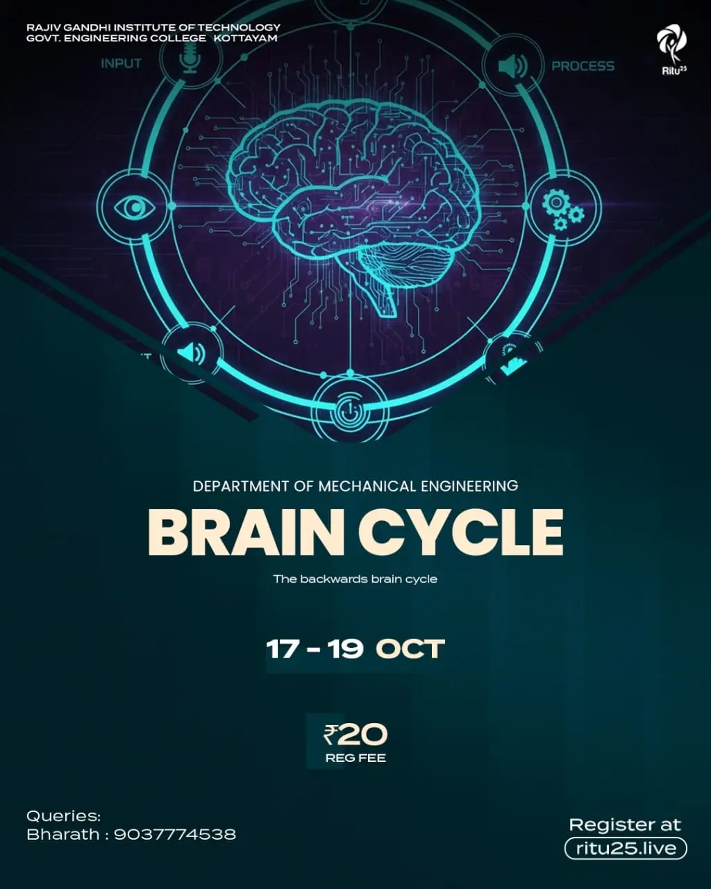 Brain cycle 